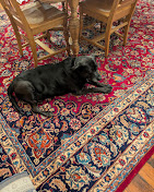 Rug After Cleaning